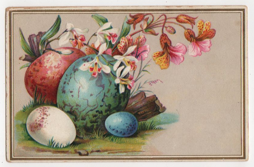 vintage eggs flowers illustration public domain