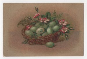 vintage green eggs basket illustration public domain