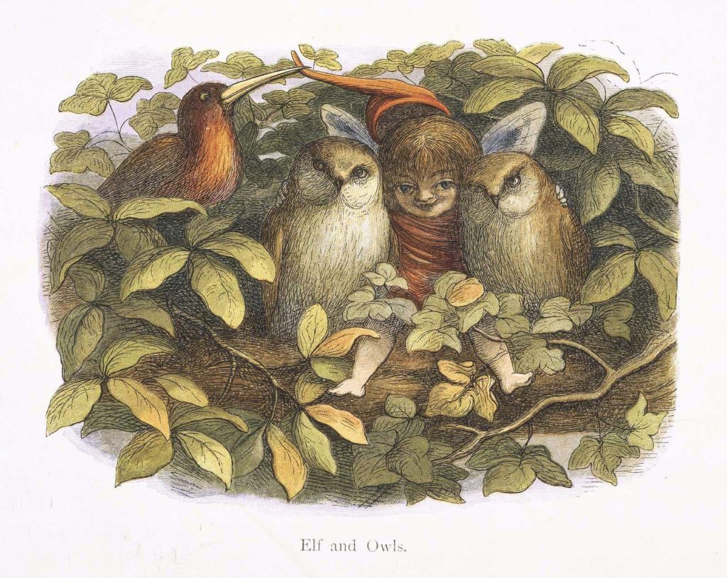 A Fairy Sits between a pair of owls on a tree branch