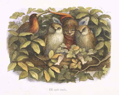 A Fairy Sits between a pair of owls on a tree branch