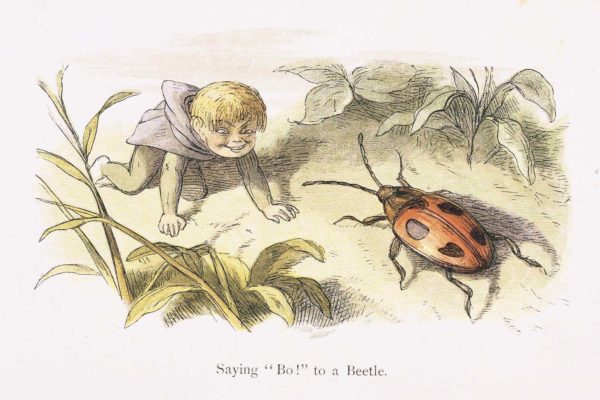 A Boy elf saying hellow to a lady beetle