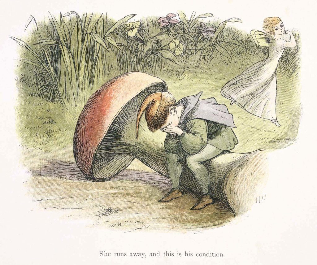 A Fairy running away as a boy elf cries sitting on a mushroom stem