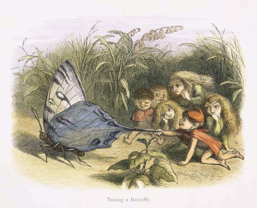A boy Elf teasing a butterfly by pulling on its wing