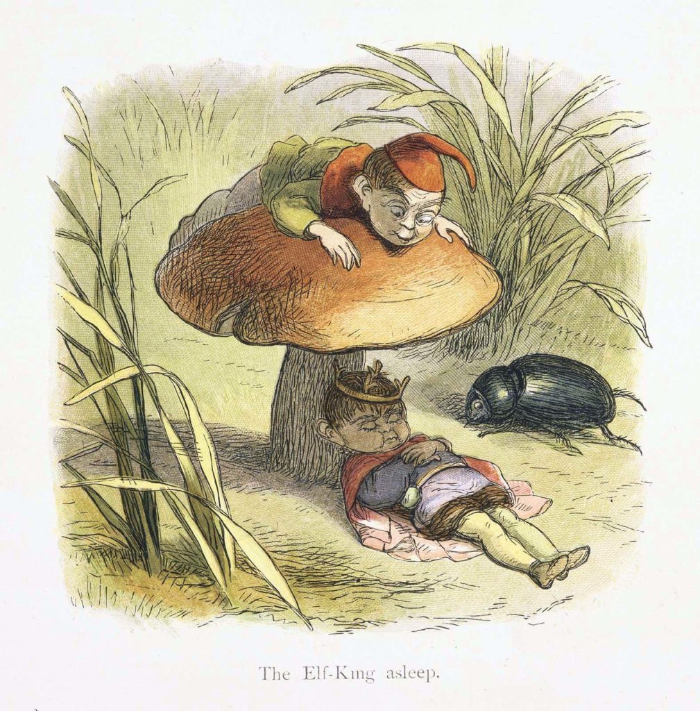 A Elf-KIng sleeping under the shade of a mushroom