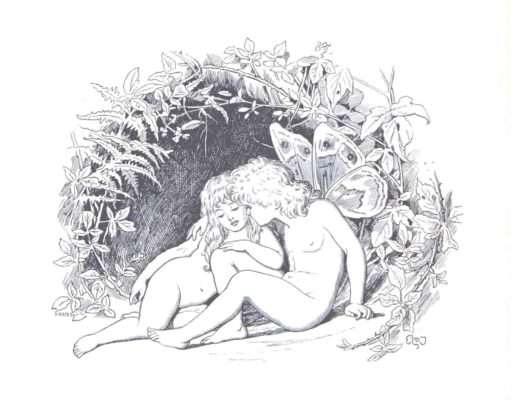 fairies under a bush