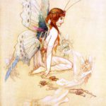 Fairy Butterfly - Warwick Globe