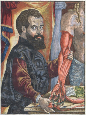 Andreas Vesalius Portrait
