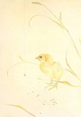 Baby chick Vintage Baby Bird Illustration