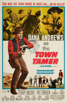 Town Tamer Movie Poster Lesley Selander 1965 Vintage Movie Poster 1