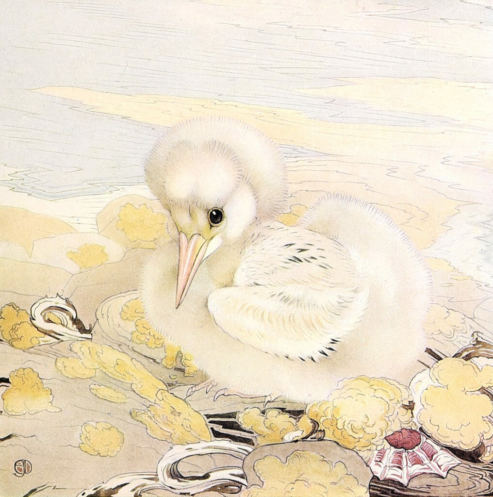 Tropic bird Vintage Baby Bird Illustration