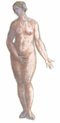 Vintage Anatomy Illustration Female Body