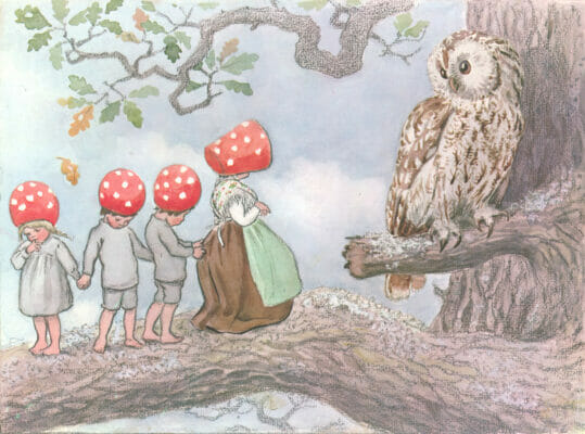 Children Of The Forest On A Tree With An Owl