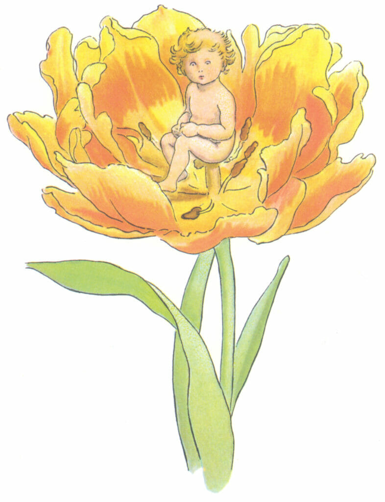 Thumbelina Little Girl Naked Sitting In A Flower Illustration02