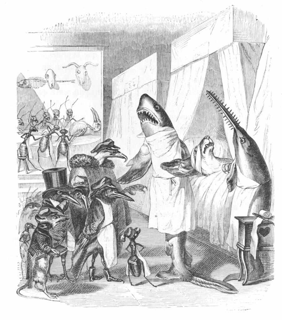 Vintage Anthropomorphic Illustration Of A Shark And Various Other Animals