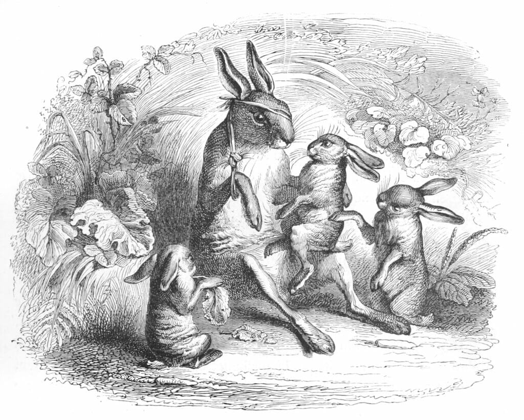 Vintage Anthropomorphic Illustration Of A Injured Hare With Its Children