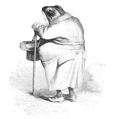 Vintage Anthropomorphic Illustration Of A Large Frog In A Coat