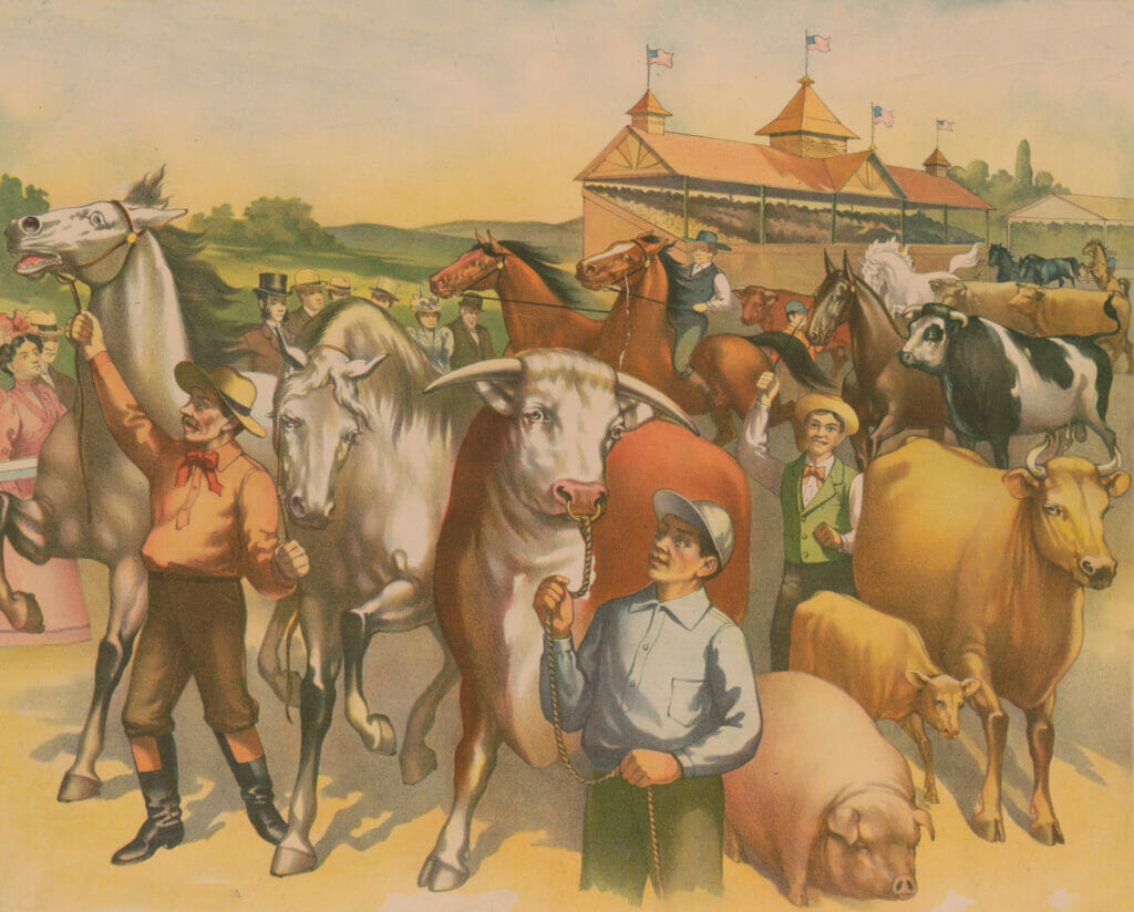 Vintage Cowboy Illustration With Cattle And Other Animals