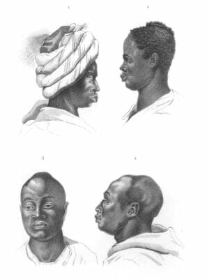 Vintage Portrait Illustrations Of Various Races 13