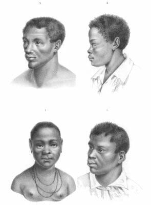 Vintage Portrait Illustrations Of Various Races 5